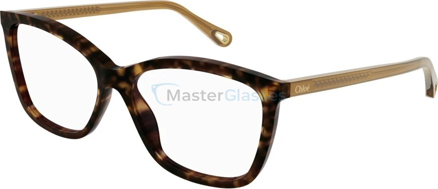  Chloe CH0118O-006 55