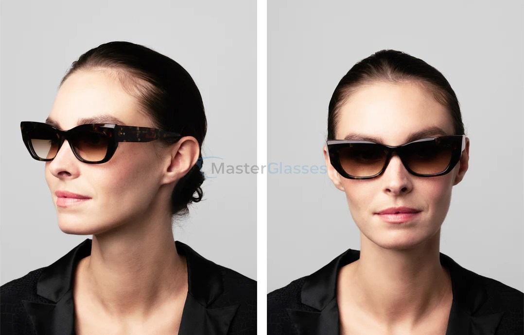DITA REDEEMER DTS530-54-02,  HAUTE TORTOISE, DARK BROWN TO CLEAR