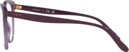  Vogue VO5451 3024 Transparent Violet