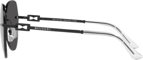   Bvlgari BV6183 202387 Black