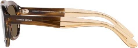   Giorgio Armani AR8173 595873 Striped Brown