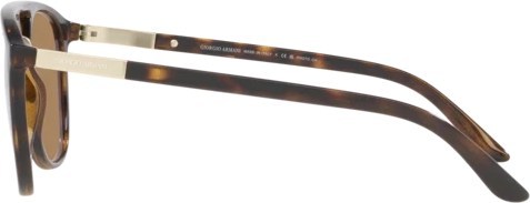   () Giorgio Armani AR8118 5026M4 Havana