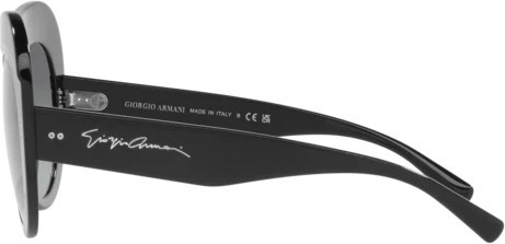   Giorgio Armani AR8178 500111 Black