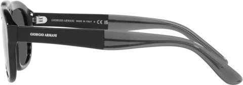  Giorgio Armani AR8173 500187 Black