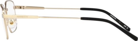  Arnette Loopy-doopy AN6133 751 Matte Light Gold
