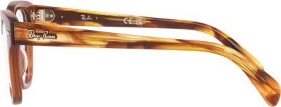  Ray-Ban RY9707V 3923 Transparent Brown