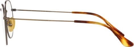  Ray-Ban RX8165V 1222 Demi Gloss Antique Gold