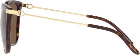   Ralph Lauren RL8209 500373 Shiny Dark Havana