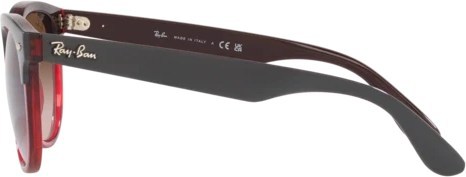   Ray-Ban Iris RB4471 663113 Grey On Transparent Red