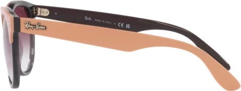   Ray-Ban Iris RB4471 66338H Beige On Transparent Grey