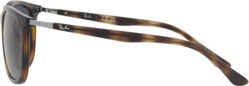   Ray-Ban RB4386 710/R5 Havana