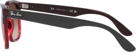   Ray-Ban Steve RB4487 663113 Grey On Transparent Red