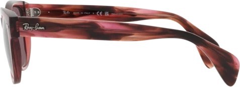   Ray-Ban RB0880S 6639AF Transparent Pink