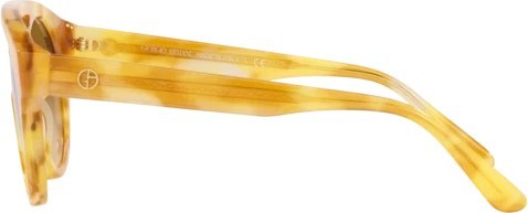 Солнцезащитные очки Giorgio Armani AR8163 57612L Yellow Tortoise/brown