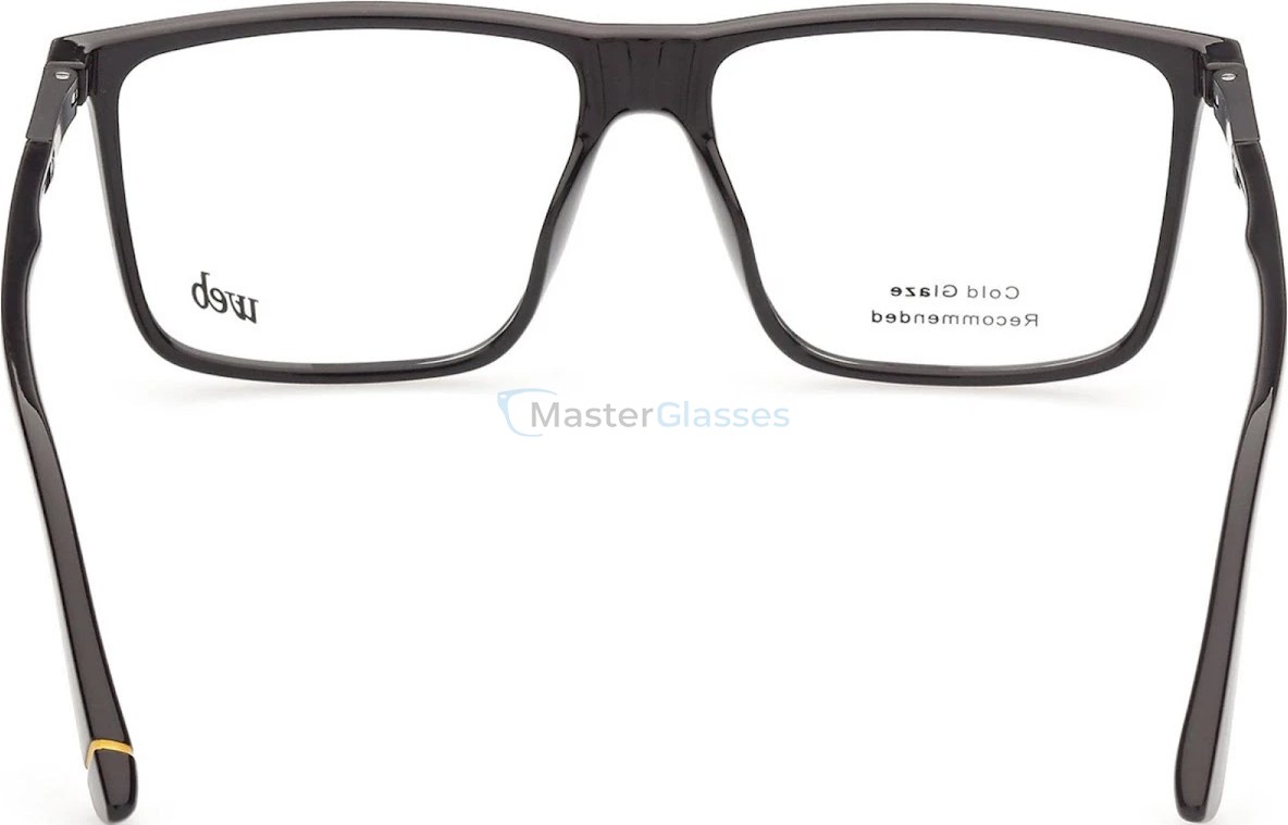  Web Eyewear WE 5325 001 56