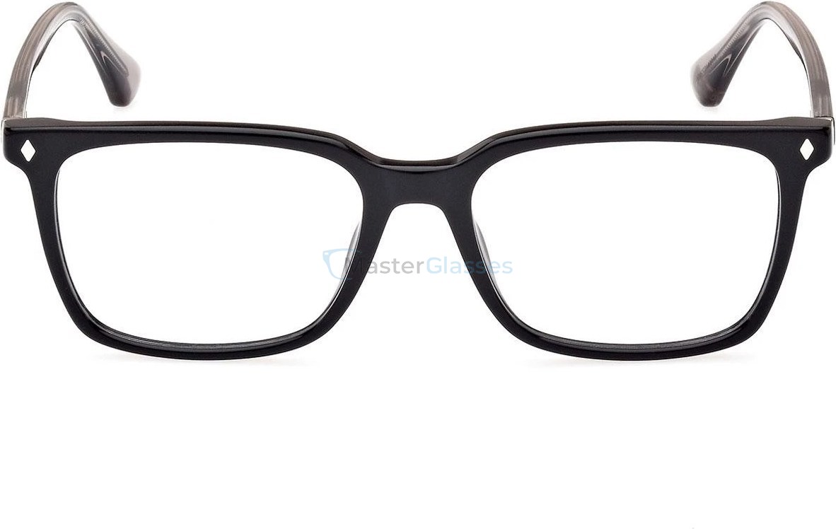  Web Eyewear WE 5401 001 54