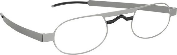 ���� SEEOO READER SLIM PALLAD ������ +2.5