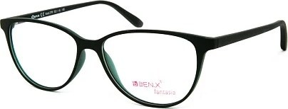 Оправа BEN.X 276 204