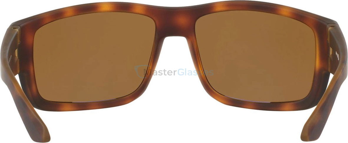   Arnette Grifter AN4221 232183 Fuzzy Havana