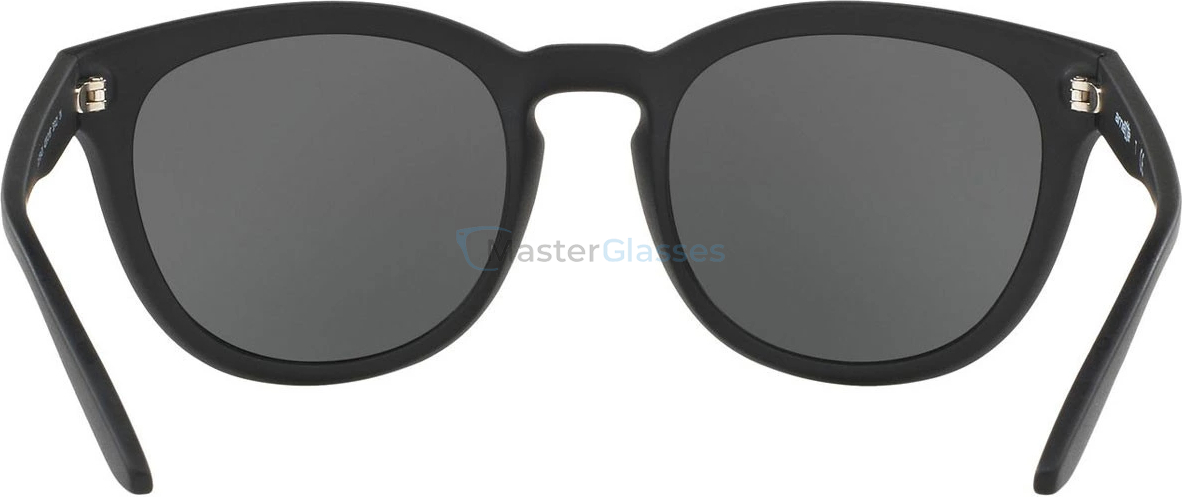 �������������� ���� Arnette Cut Back AN4230 01/87