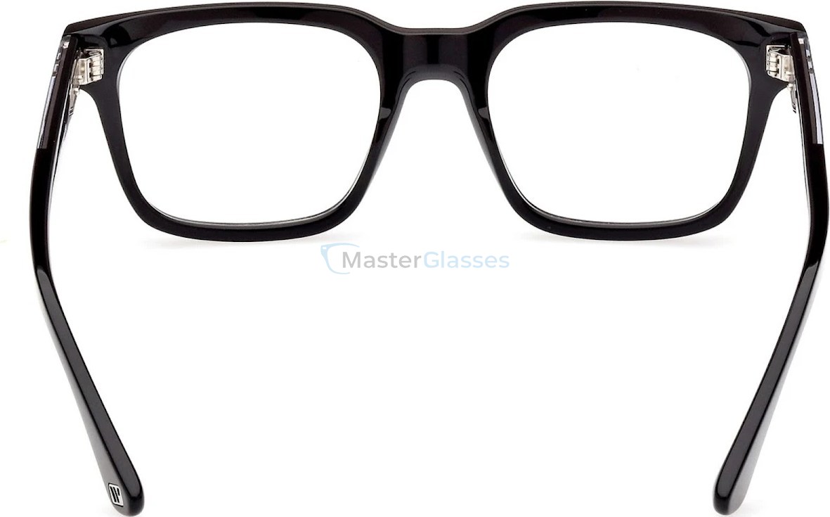  Web Eyewear WE 5412 001 52