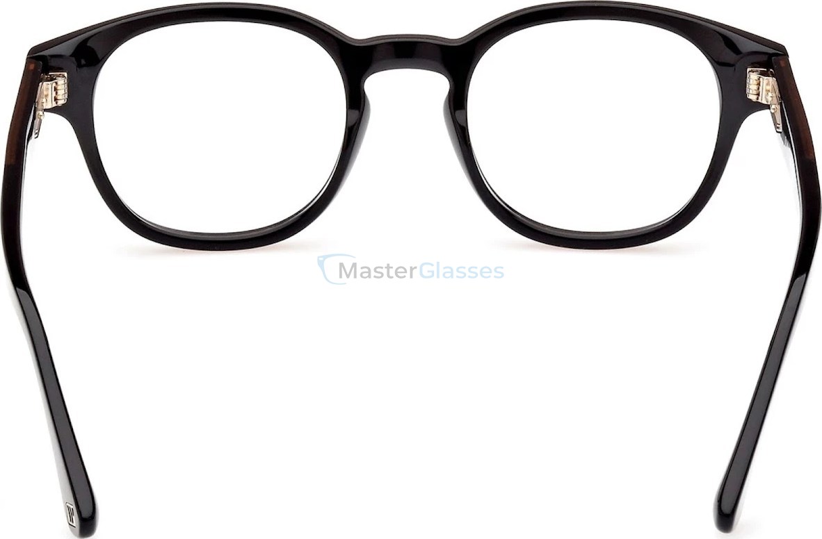  Web Eyewear WE 5411 01A 49