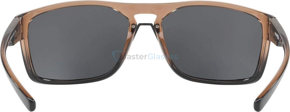 Солнцезащитные очки Arnette Brapp AN4239 249187