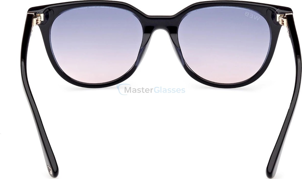  Web Eyewear WE 0347 01W 53