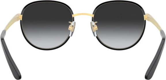   Dolce & Gabbana DG2227J 02/8G Black/gold
