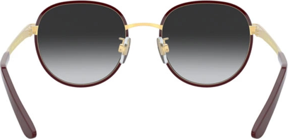 Солнцезащитные очки Dolce & Gabbana DG2227J 13188G Bordeaux/gold