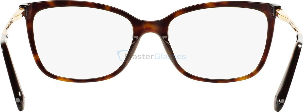 ������ Dolce & Gabbana DG3243 502