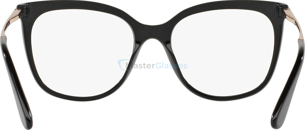 ������ Dolce & Gabbana DG3259 501