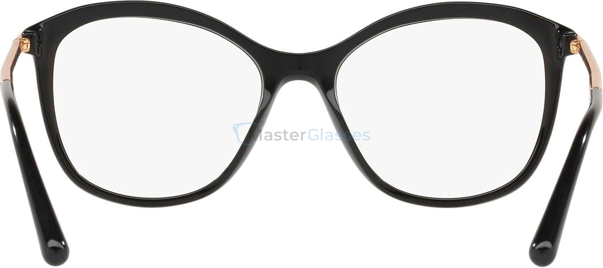 ������ Dolce & Gabbana DG3299 501