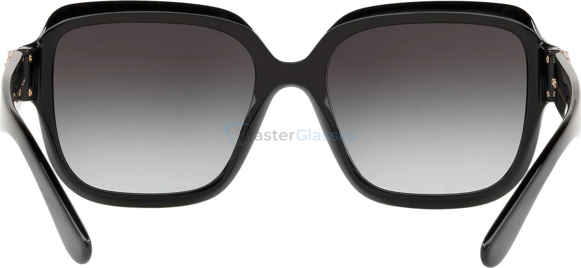 Солнцезащитные очки Dolce & Gabbana DG4336 501/8G Black