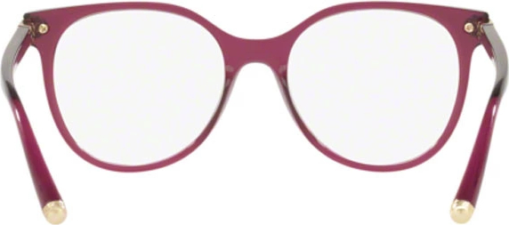 ������ Dolce & Gabbana DG5032 1754