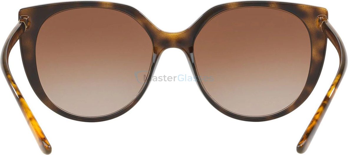   Dolce & Gabbana DG6119 502/13