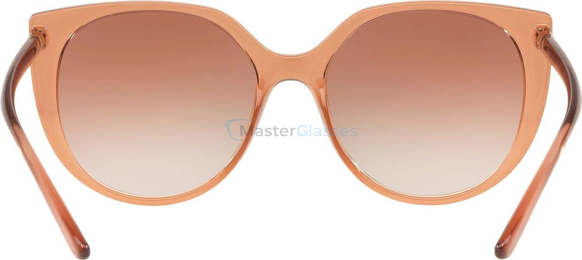 Солнцезащитные очки Dolce & Gabbana DG6119 31486F