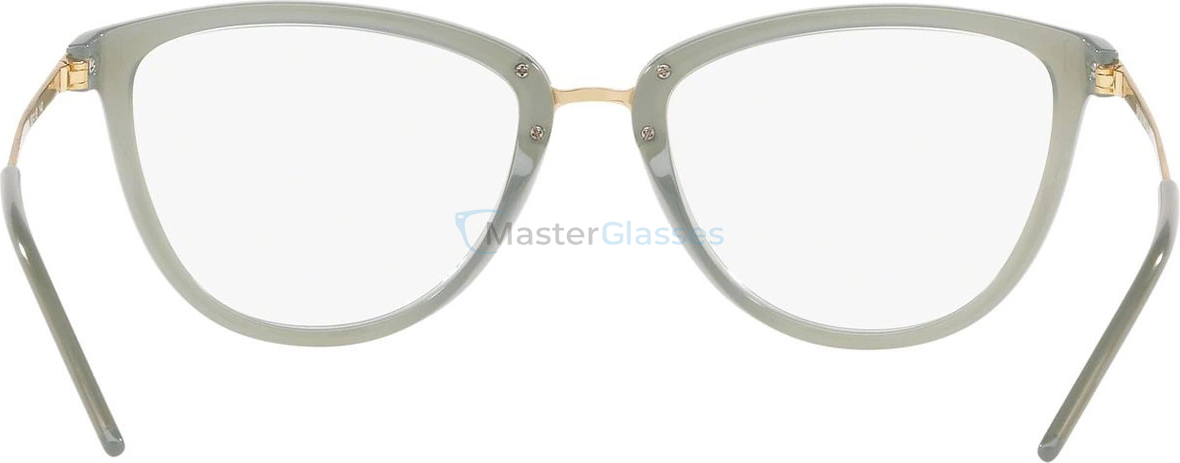 Оправа Emporio Armani EA3137 5696 Sage Milky