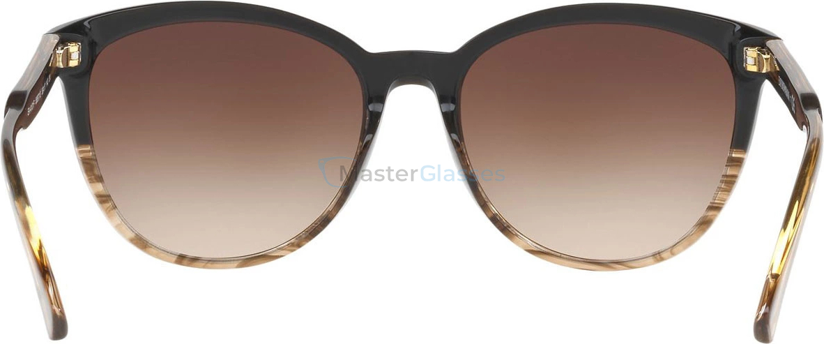 Солнцезащитные очки Emporio Armani EA4101 556713