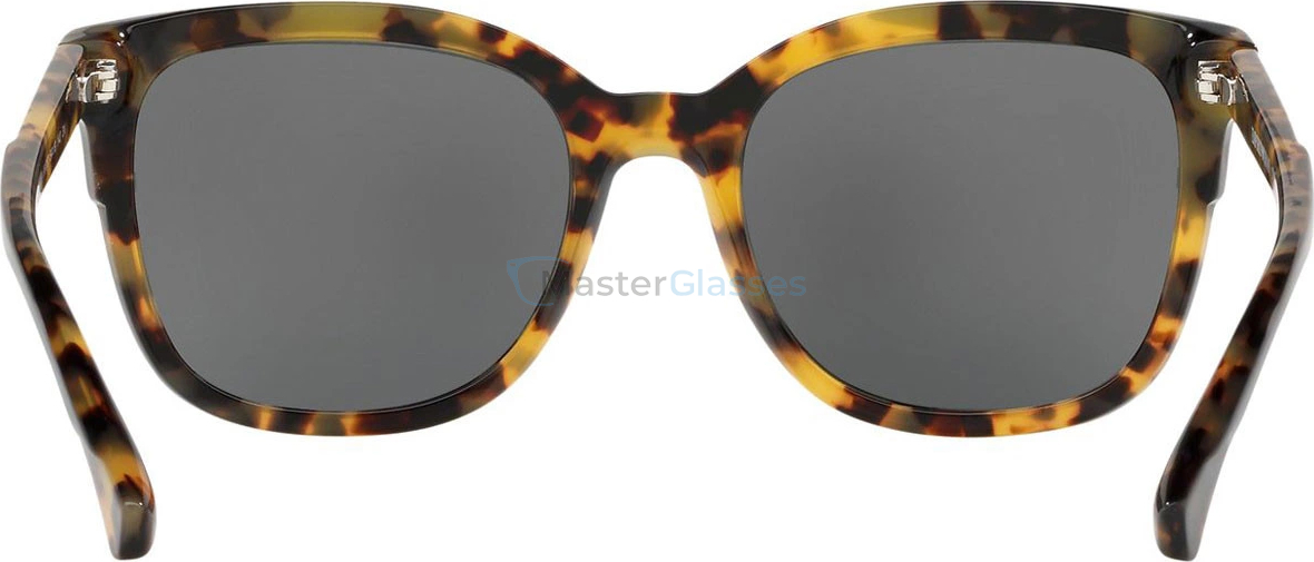 �������������� ���� Emporio Armani EA4119 569787