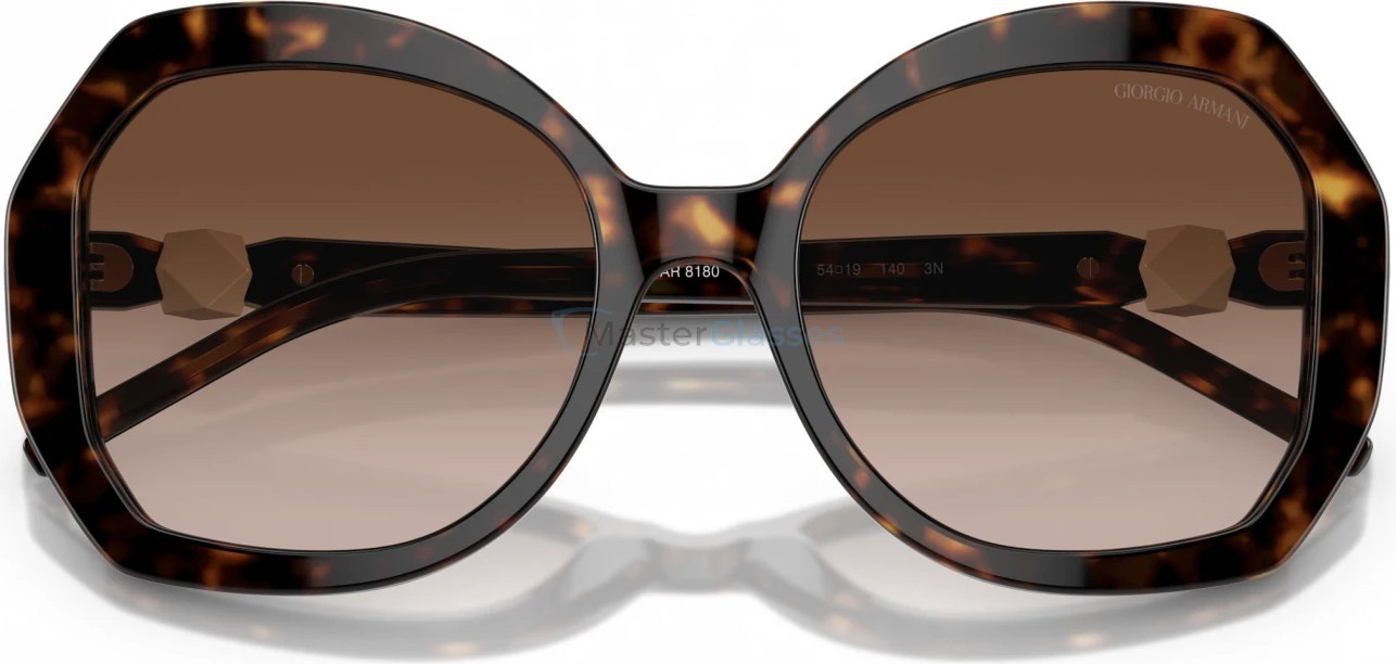   Giorgio Armani AR8180 502613 Tortoise