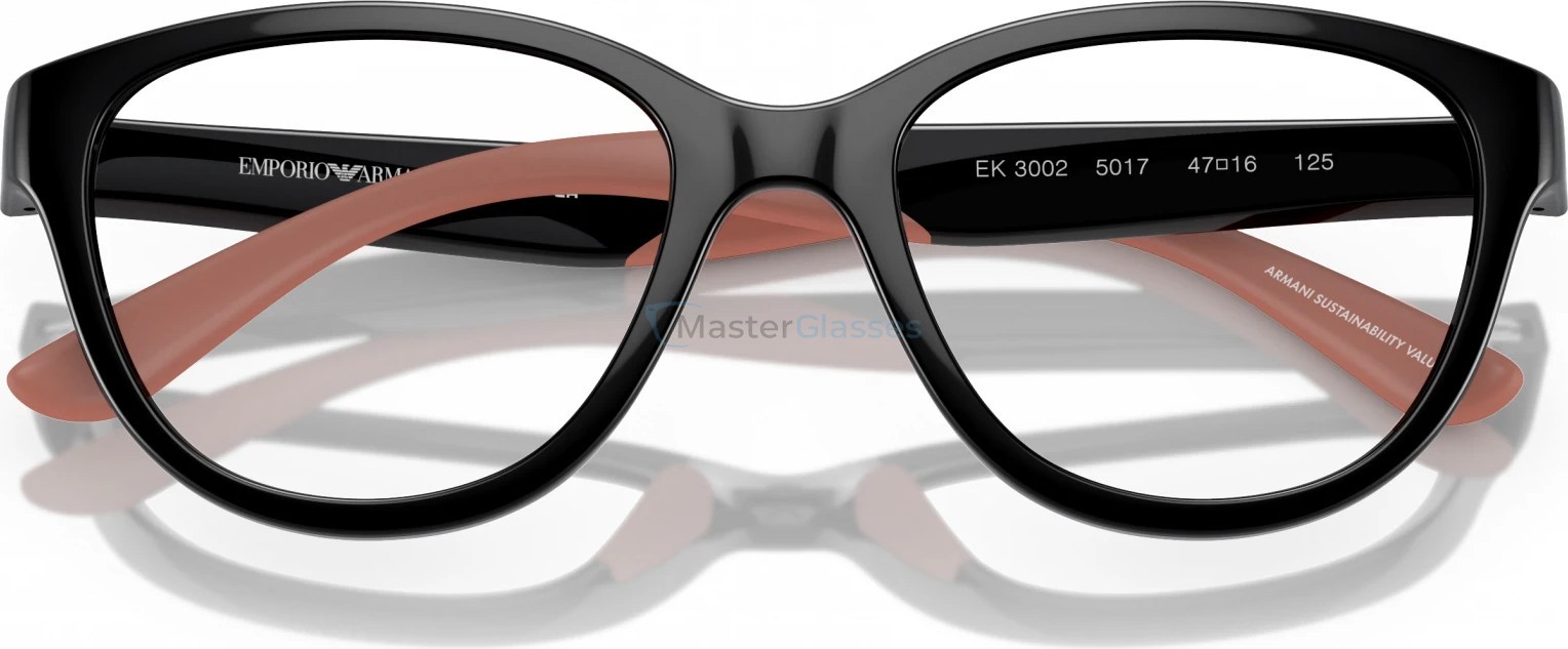   Emporio Armani EK3002 5017 Black