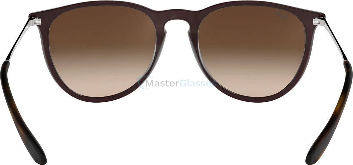   Ray-Ban Erika Classic RB4171 631513