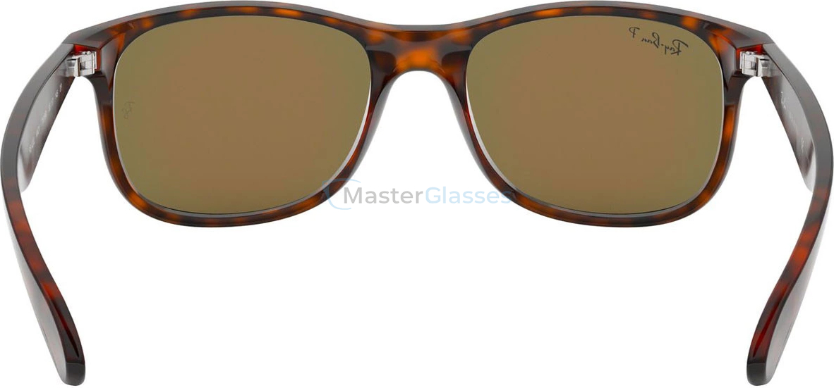 �������������� ���� Ray-Ban Andy RB4202 710/9R Shiny Havana