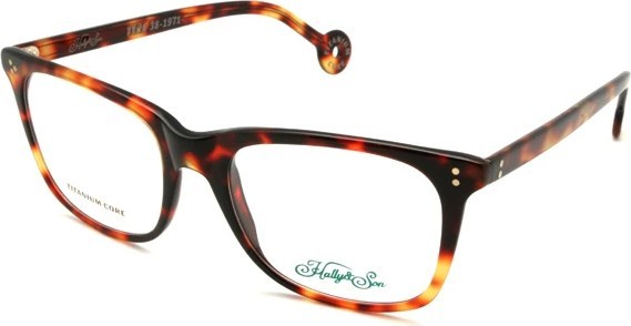  HALLY SON HS 562V 03