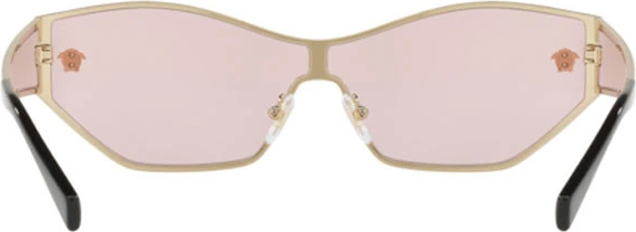 Солнцезащитные очки Versace VE2205 1252/5