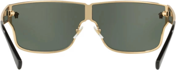 �������������� ���� Versace VE2206 100271