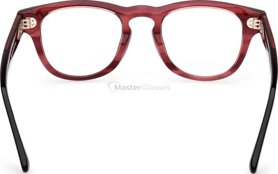  Web Eyewear WE 5384 083 47