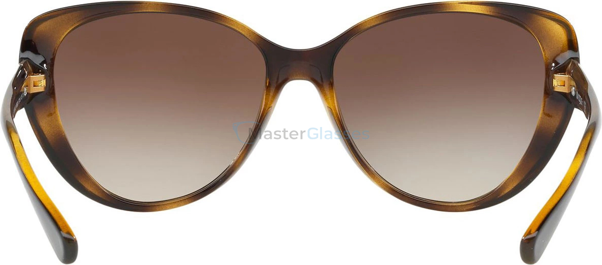 �������������� ���� Vogue VO5193SB W65613 Dark Havana