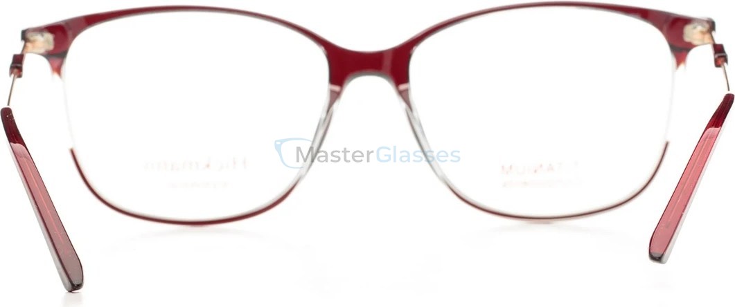  Hickmann HI6239T H02